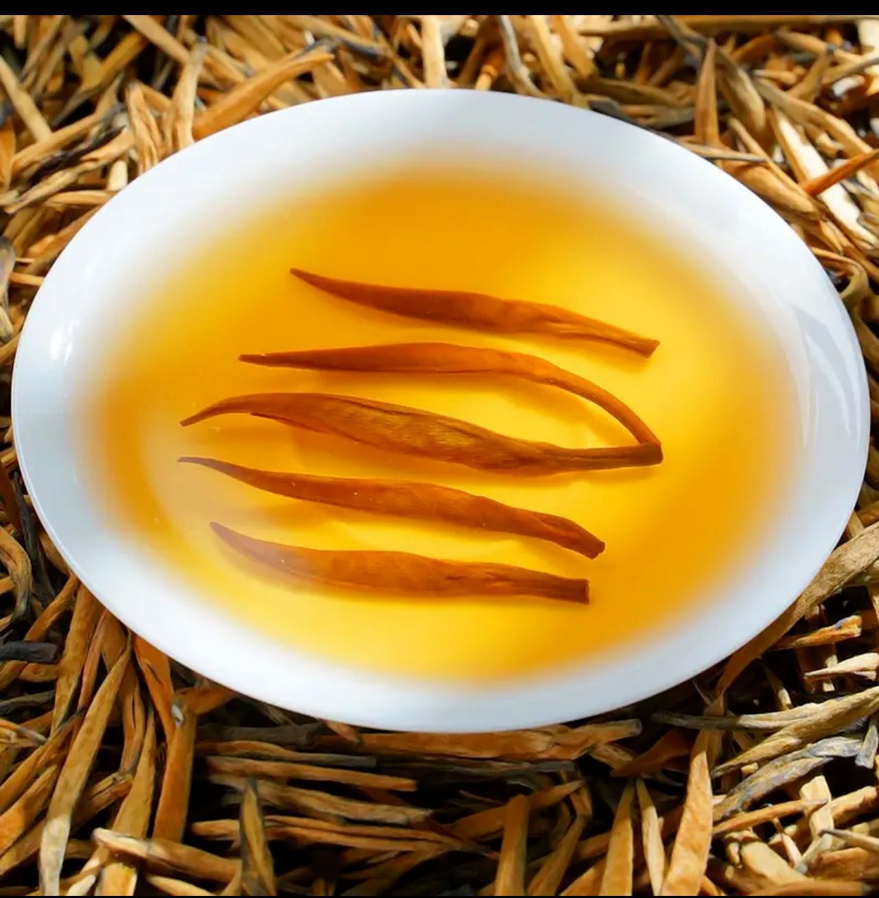 e334dc0a9be3a0d302cadfcfb65c67