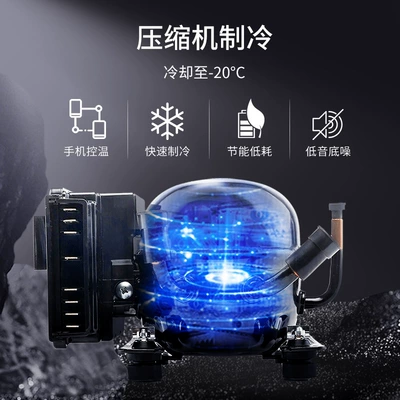 Soyuducular – Tiger Car Refrigerator Compressor Cooling
