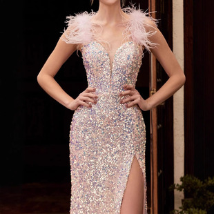 2026�羳����Ƭ���|ͨ�ڼ�ɫ�����tɫ��ë����������Lȹ���Y��