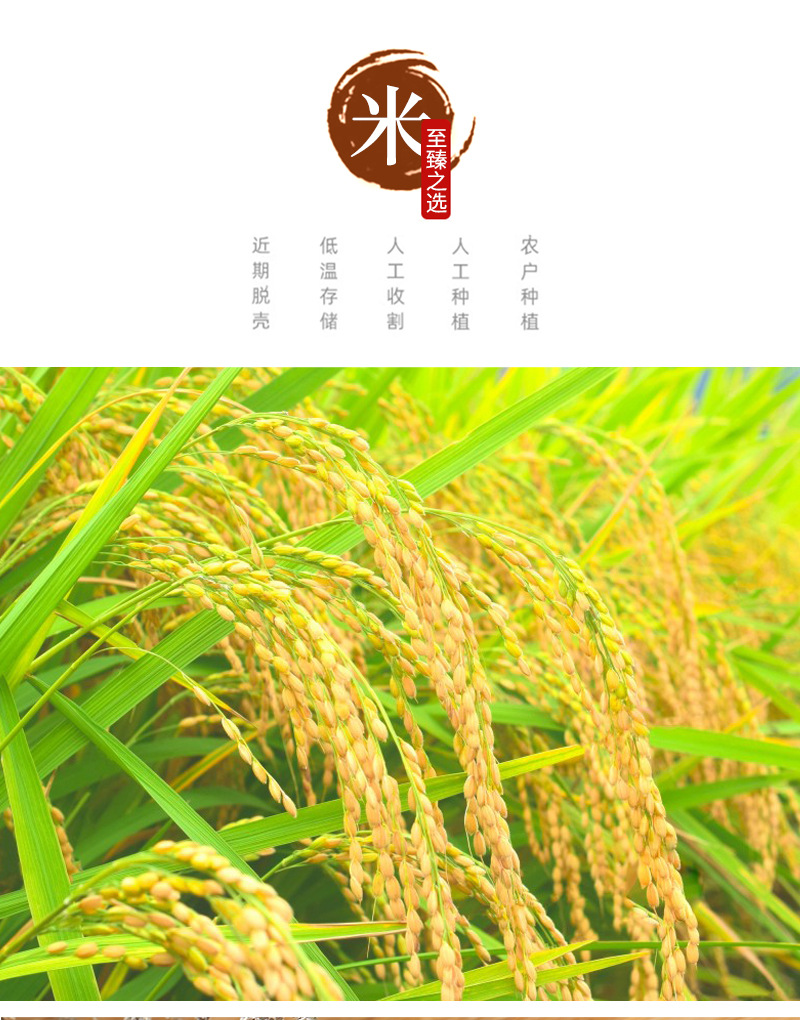 Cooked Northeast Rice Flour 500g Instant Milled Japonica Rice Powder for Drinks and Congee specifications