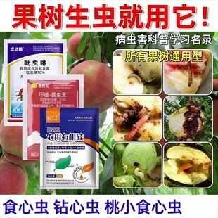 ʳ���x���䚢�x���Ҙ�������Ә��Ә�ʳ���x����x���x�rș���x��
