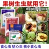 食心虫果树杀虫剂桃树梨树李子树杏树食心虫钻心虫蚜虫农药杀虫剂|ms