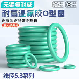氟胶O型圈线径5.3*内径30-495/30/75/150/180/206/360/430/495