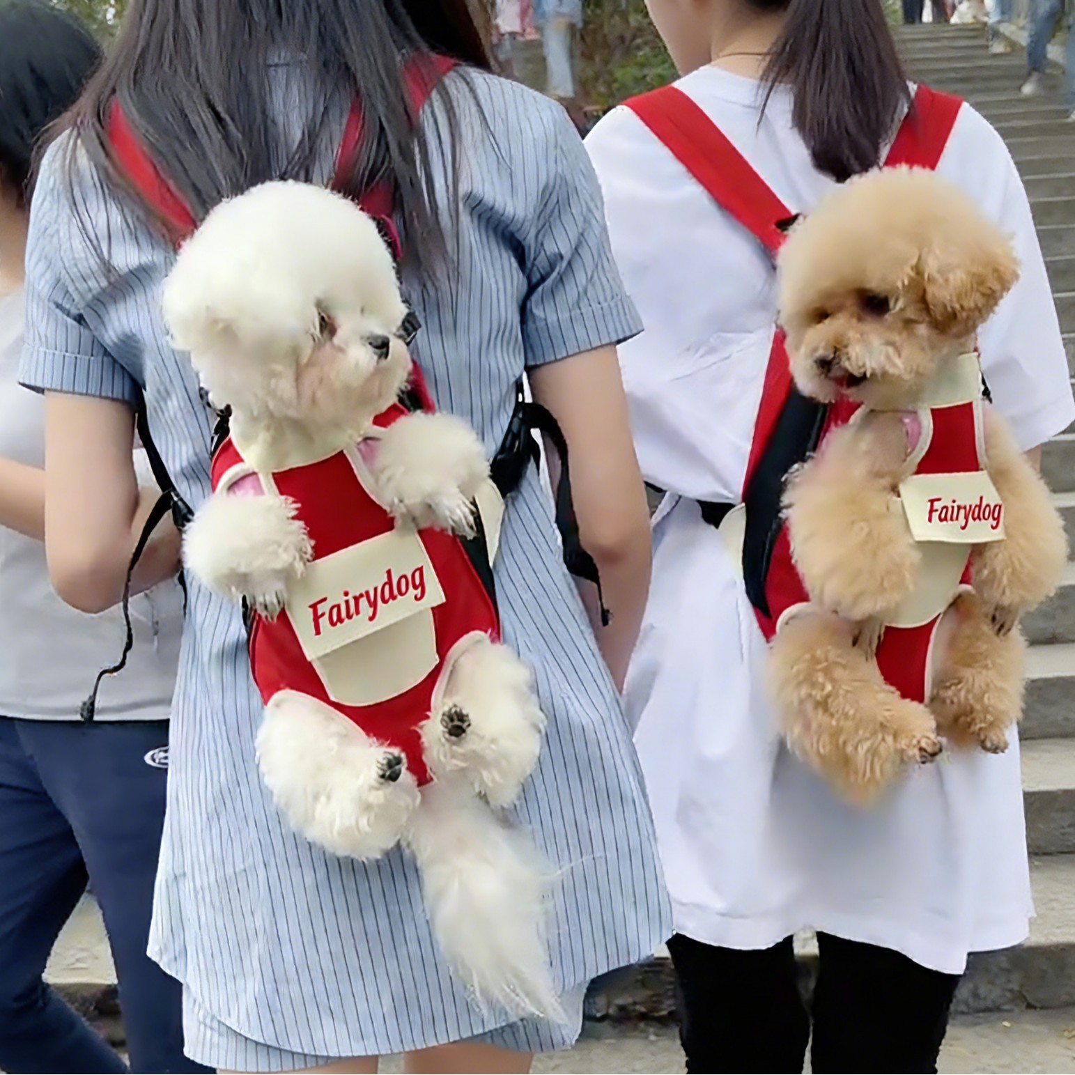 Pet Bag, Portable Backpack for Outings, Dog and Cat Chest Carrier, Four-Legged Backpack, Pet Supplies