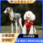保暖加厚牵引秋冬背心