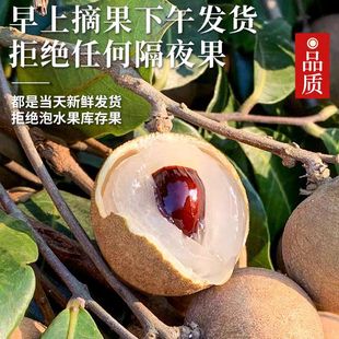 ���r���ۺ�С�������ó�8���b