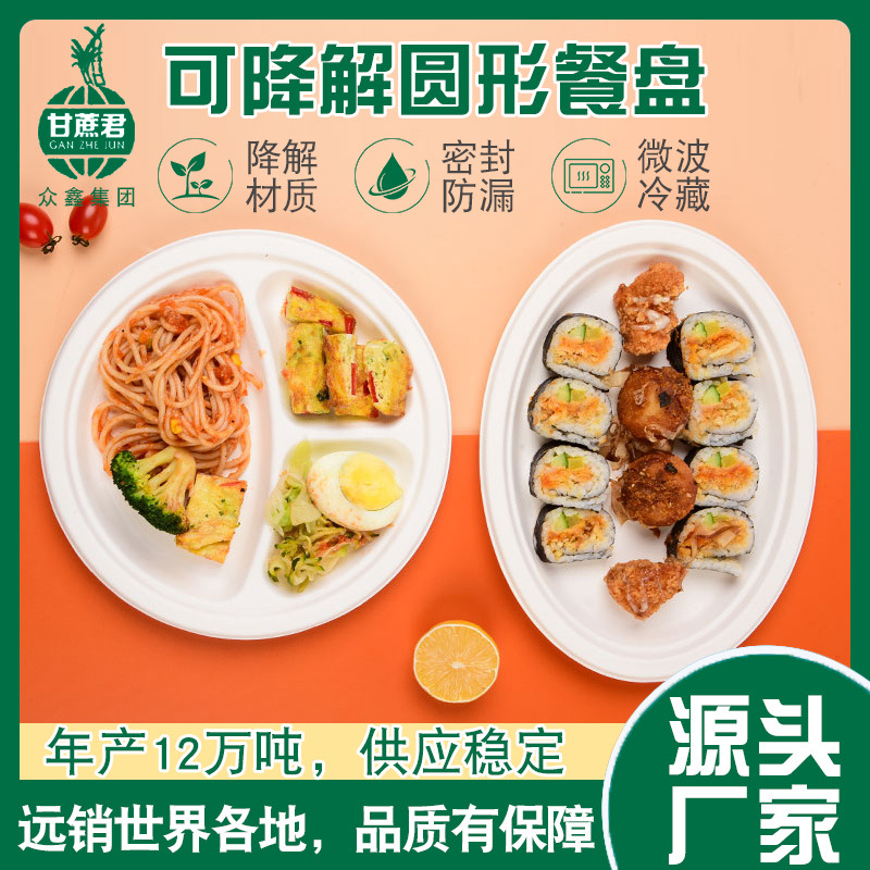 Placa de disco de papel desechable Placa de papel Placa de pintura placa bandeja Pulpa de caña de azúcar Placa de encaje Placa de 6 pulgadas hecha a mano