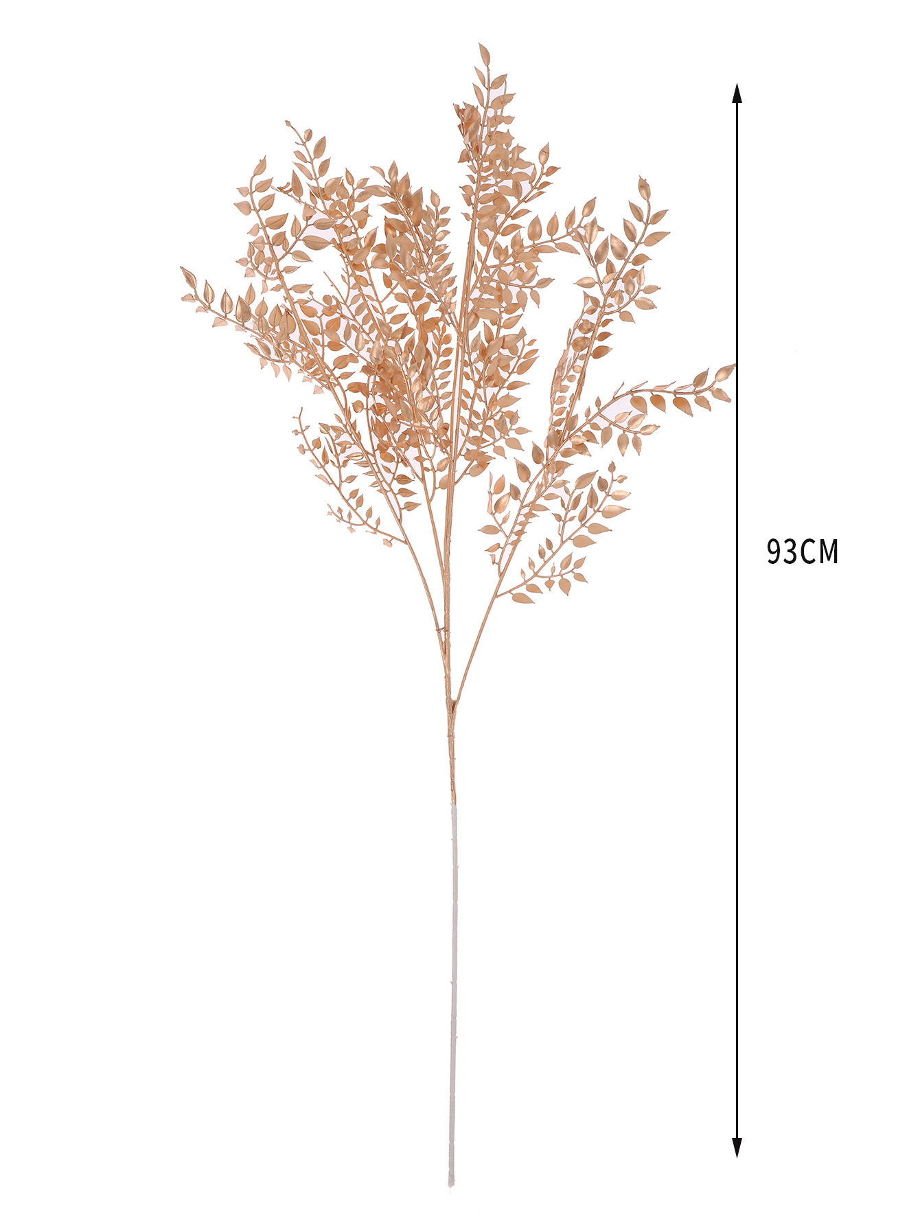 1I6A4589