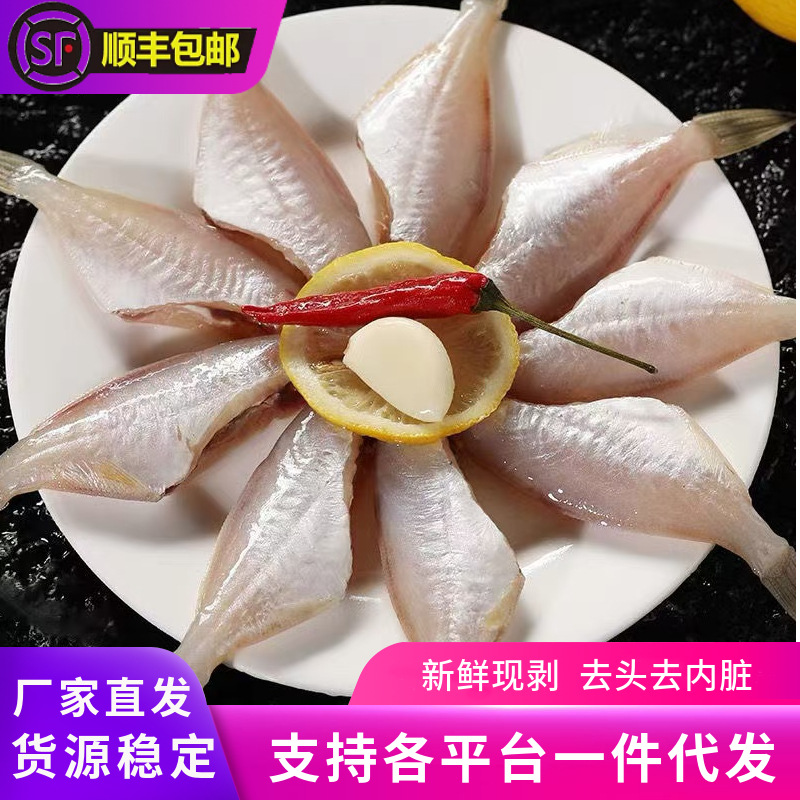 耗儿鱼新鲜冷冻马面鱼去头去尾海捕扒皮鱼火锅食材商用海鲜批噶