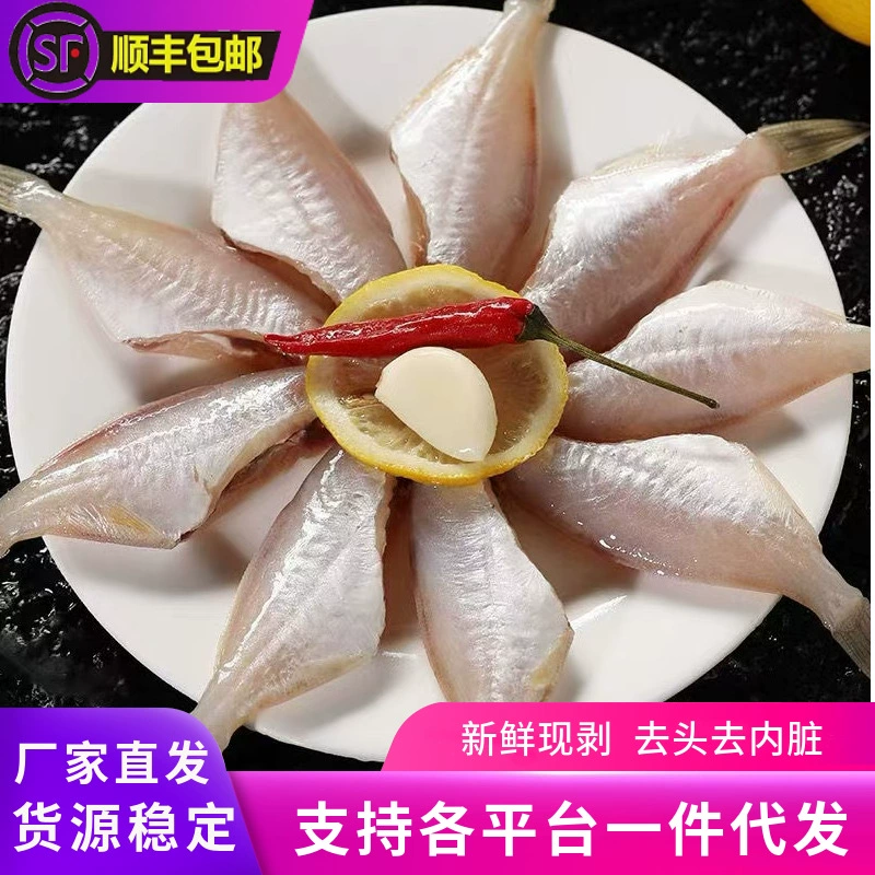 Свежемороженая скумбрия без головы и хвоста, морская рыба, очищенная для горячего горшка, коммерческая партия морепродуктов.