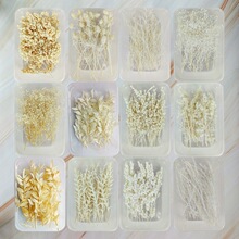 diy�ɻ���ɫϵ���������bС�����ֹ�����ins�b�����~Ƭ�N�����