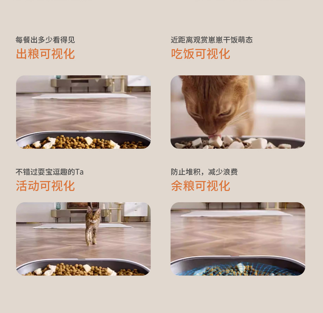 跨境6L宠物智能猫狗喂食器多餐不堵粮远程单频WIFI+蓝牙/视频观宠
