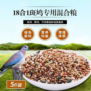 ���F�Zʳ�����Z�������ӼZ18��1�BʳС�w�����F���ɽ�u���u��5��