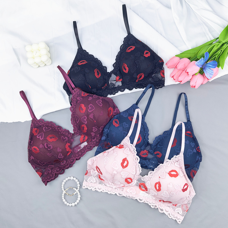 Transfronterizos tamaño europeo y americano marca labial de encaje transpirable delgado bordado damas bra comercio exterior bra Amazon al por mayor