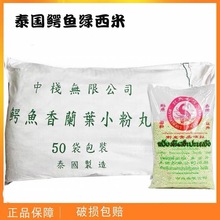 泰国进口鳄鱼绿西米500G*50袋水晶粽椰子西米杨枝甘露甜品奶茶原
