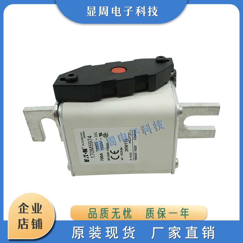 全新保险丝熔断器170M5974 170M5975 170M5981 170M5982 170M5983