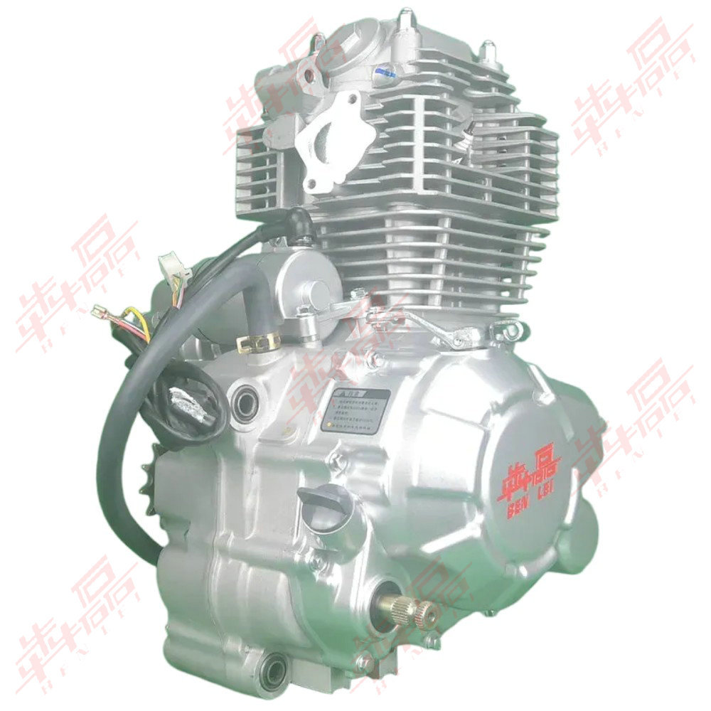 Benlei Cb250-F Cb300-F Zs172Fmm Zs175Fmm Off-Road Motorcycle Engine Assembly