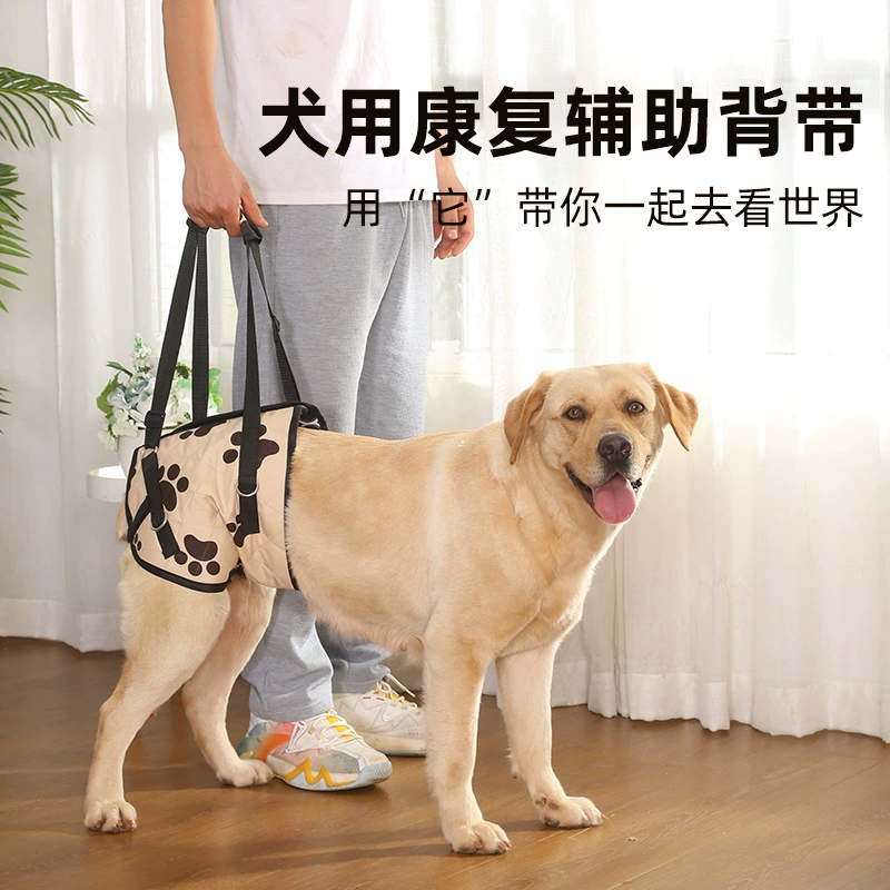 Трансграничная помощь домашним животным Помощь при ходьбе с пожилыми людьми-инвалидами Помощь при ходьбе с ремнем для ног домашних животных