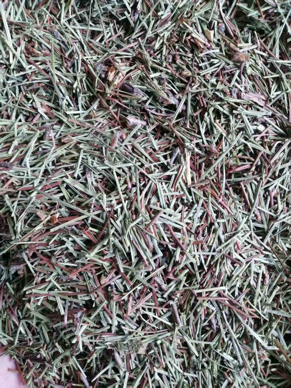 Pine Needles (Pinus massoniana) — Dried Cut Food Herb, 500g key features