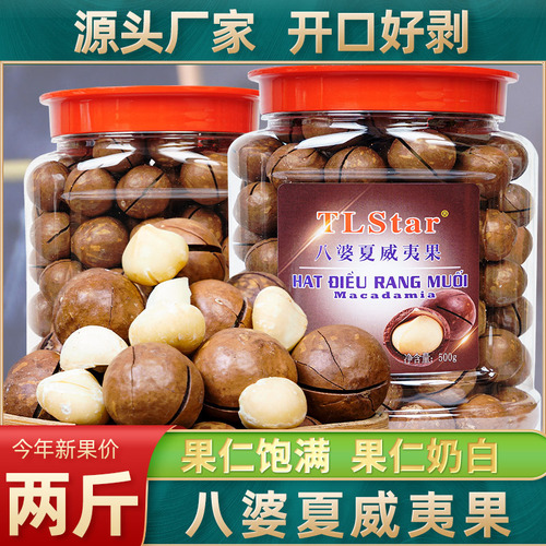 Hawaiian nuts wholesale milky flavor open new canned Hawaiian nuts 25mm 500g