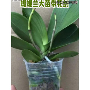 �����m���������������m�����ԾGֲ���҃ȿ͏d���B��