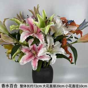 ��ˮ�ٺϷ��滨3�^�ٺϼҾӲ͏d�b���cӆ��ٻ��羳؛Դ����