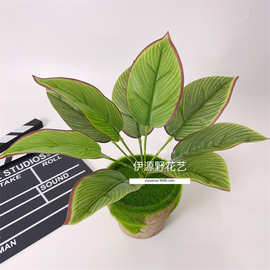 仿真植物绿植小盆栽墙面装饰假叶子绿萝叶龟背叶植物墙插花配材