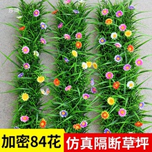 �����ƺ�پGֲ��������ֲ������bG��Ƥ�|��̺�쾰�[�O��̨