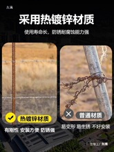 䓽z���K�̽z�������������F�z�F��޼���I�F�̑�����P�F�z�W����