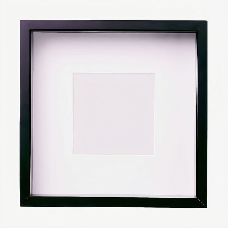 Wholesale Square Hollow 3cm Three-Dimensional Dried Flower Photo Frame Shell Conch Decoration Light Painting Butterfly Specimen Picture Frame