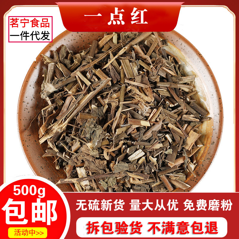 药材店铺 一点红 叶下红 羊蹄草 红背叶药材大全500g