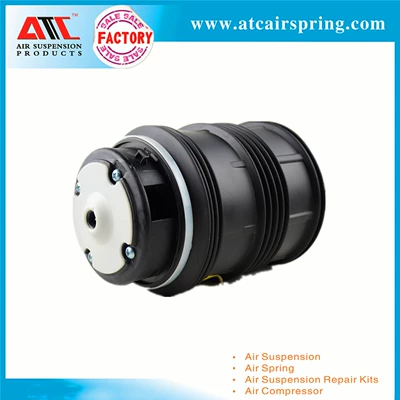 2113200925 Rear – damping system