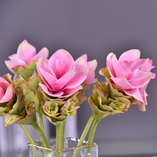 �S�����l�����ָн��ɻ� �ߙn���潪�����l�Ƶ��̈��Ӱ��g���滨