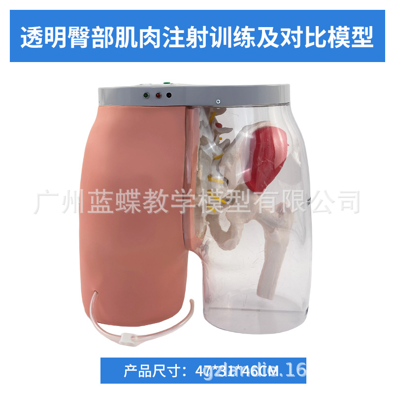 �β�����ע��͸���Ա�ģ��͸����Ѫ�����մ�����̵ƹⱨ��ϵͳ