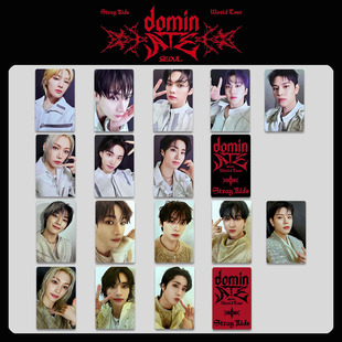 STRAY KIDS�ݳ���DOMINATE WORLD TOUR�נ���DVD��ѲС�� �ص俨