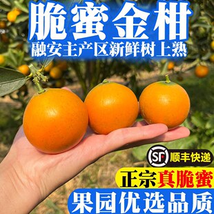 �����ڰ����۽�۽�̏V���������ڰ���۴�����r���ٶY���b��S