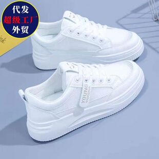 С��ЬŮ��2026���＾�¿�ٴ��W��ƽ�����e�������͸��