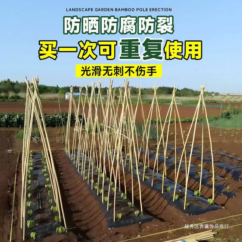 Бамбуковый столб для огорода