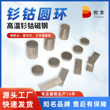 SmCo-Discs-with-Holes�⒈A�h �ߜ��⒴��