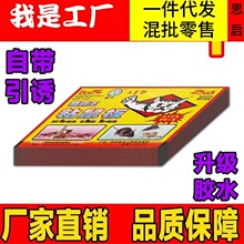 ����ճ�����������N������������׽����ߏ��������N������ճ