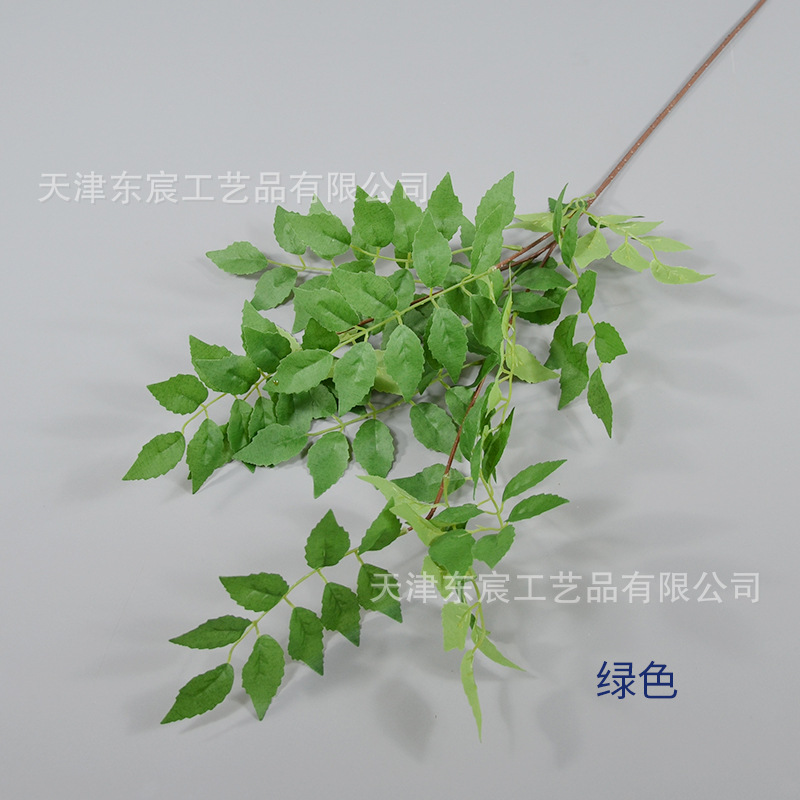 녹색
