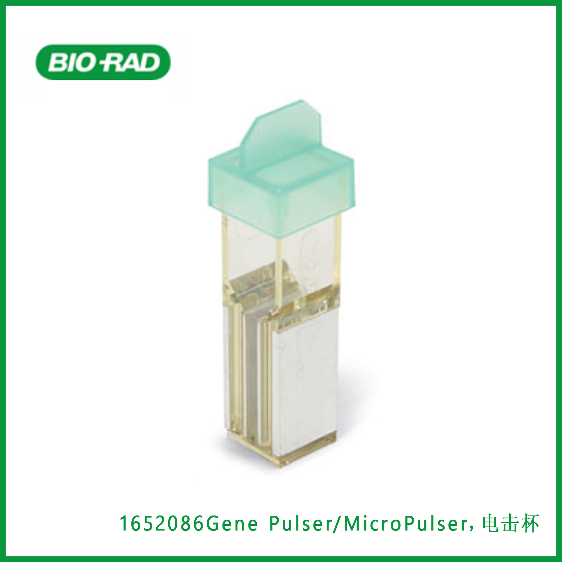 伯乐Bio-Rad1652086Gene Pulser/MicroPulser，电击杯0.2 cm间隙