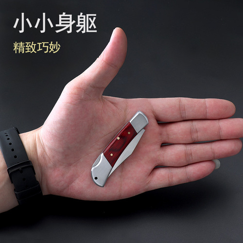 Mini Foldable Pocket Fruit Knife High Hardness Multi-functional Small Knife Stainless Steel Keychain Portable Outdoor Self-defense Knife
