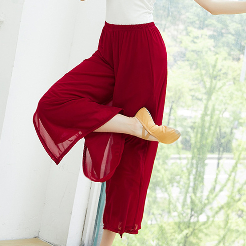 Classical Style Dance Pants, Double-Layer Chiffon Wide-Leg Pants, Chinese Modern Ethnic Flowing Basic Practice Pants