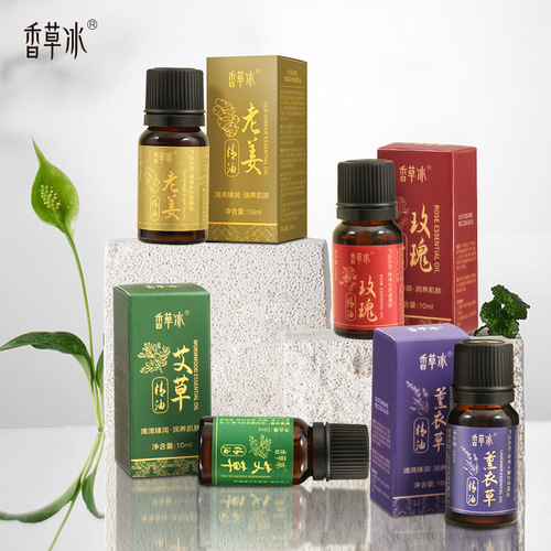 Essential oil manufacturer rose mugwort essential oil beauty salon scraping massage facial skin care body oil plant essential oil wholesale