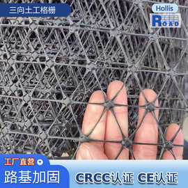 三向塑料土工格栅加筋护坡多向格栅三向 拉伸土 工格栅四向格栅