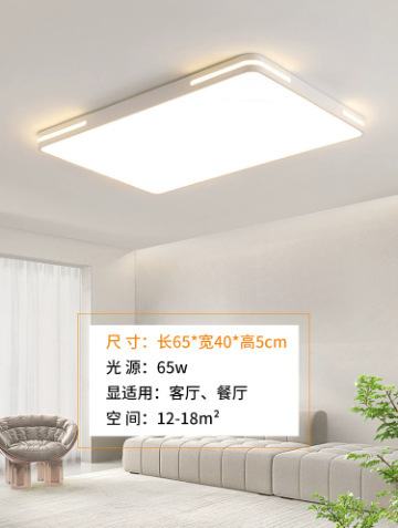 中山灯具全光谱客厅灯2025新款吸顶灯主灯大全现代简约卧室吸顶灯|undefined