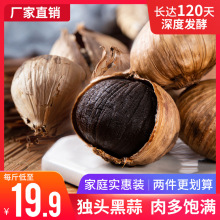 ⌍b^500gɽ|alͺ^΢Ƥڴʳ