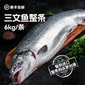 整条赛马克三文鱼智利大西洋鲑鱼冷冻鱼片海鲜食材零售批发日料