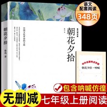 鲁迅精选集朝花夕拾呐喊彷徨中国文化主将当代名家小说文联出版社